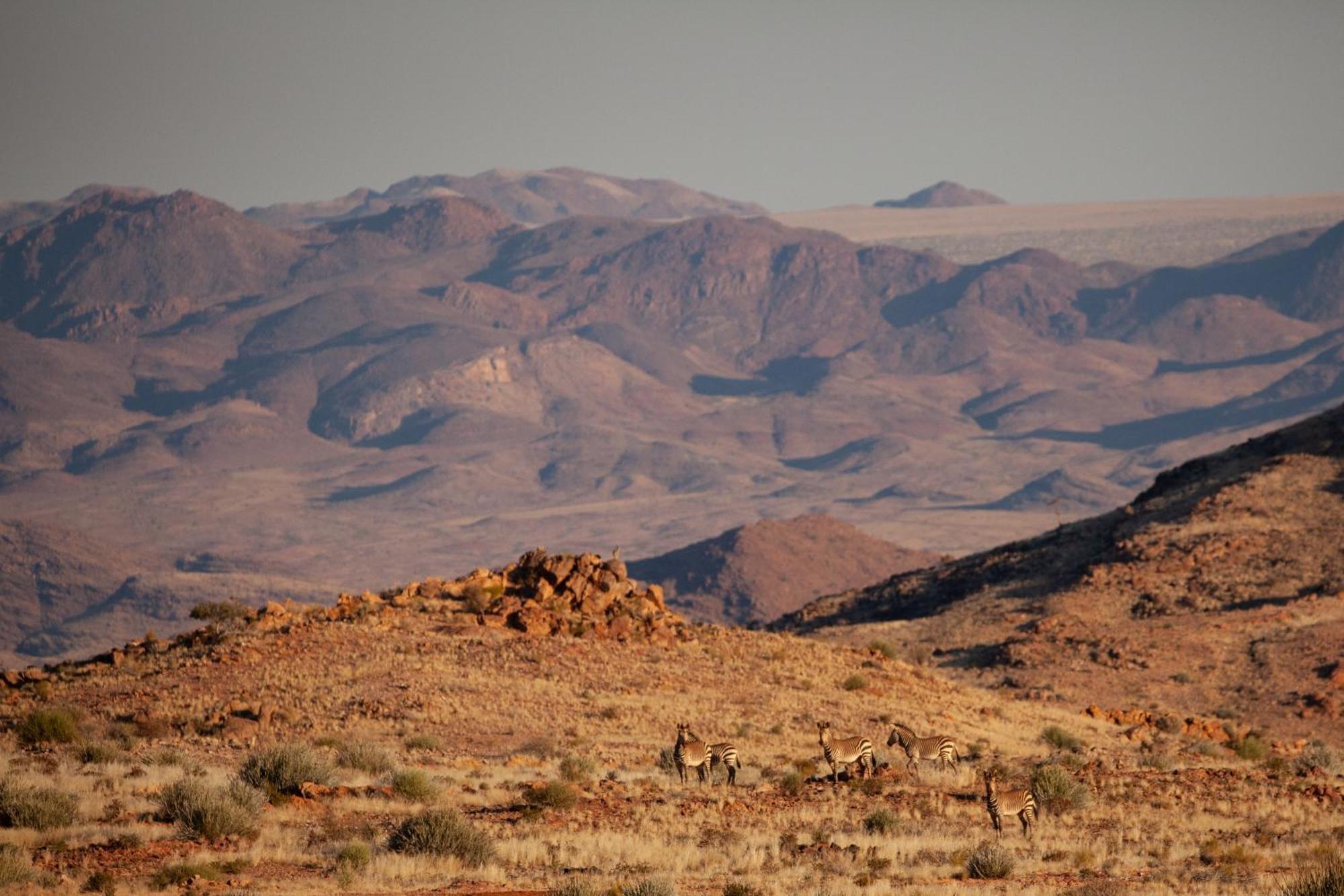 Sandfontein Lodge & Nature Reserve Extérieur photo