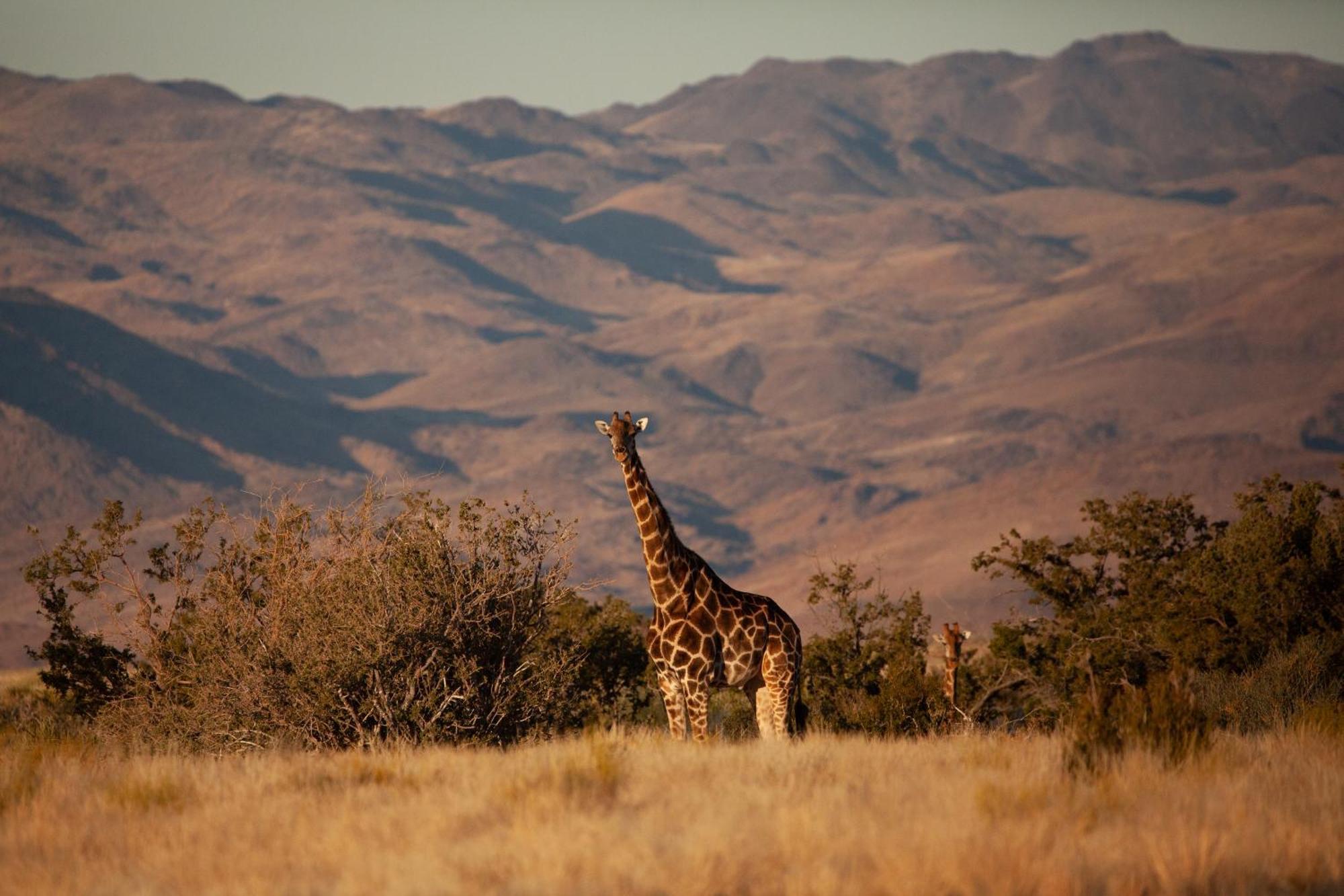 Sandfontein Lodge & Nature Reserve Extérieur photo