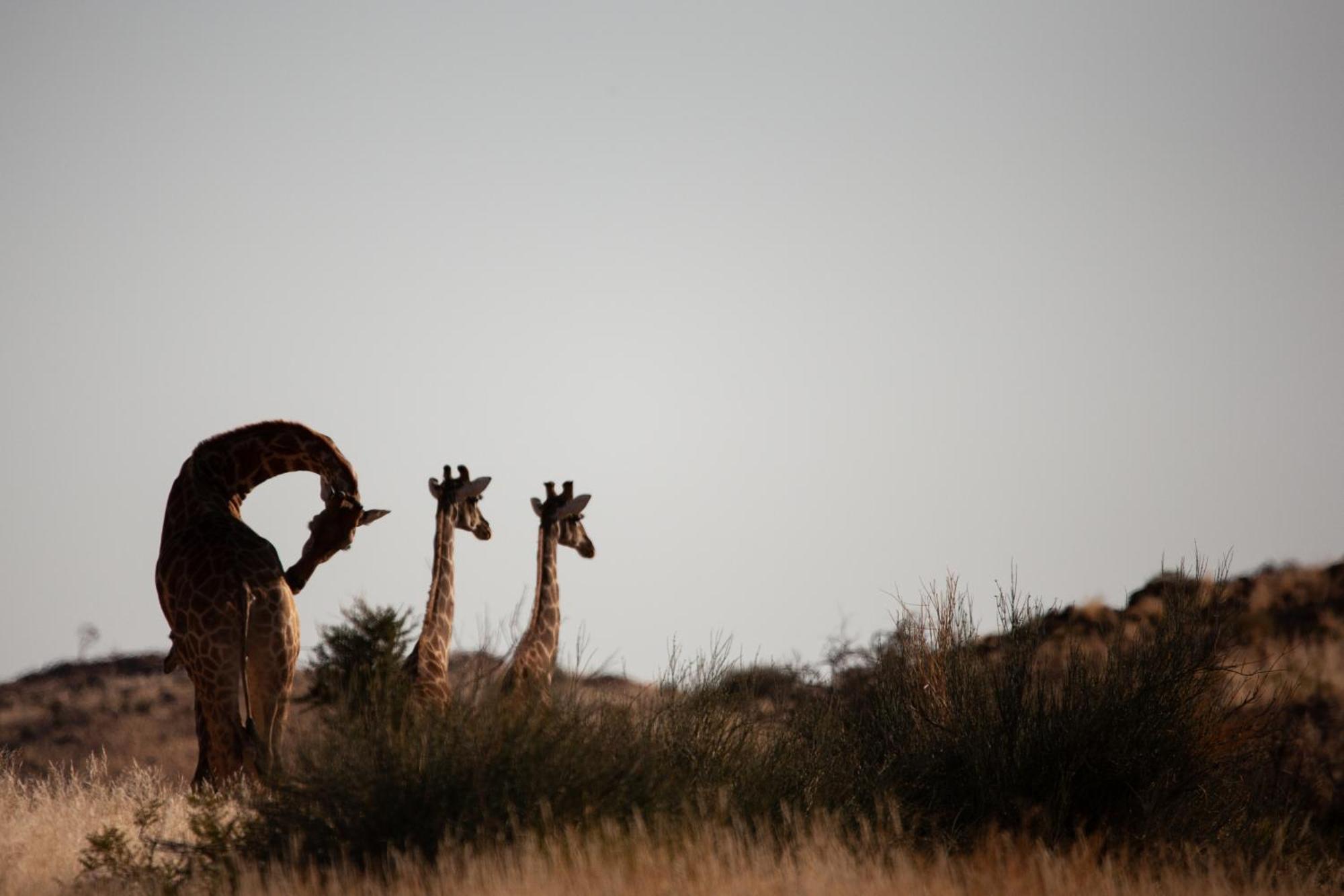 Sandfontein Lodge & Nature Reserve Extérieur photo